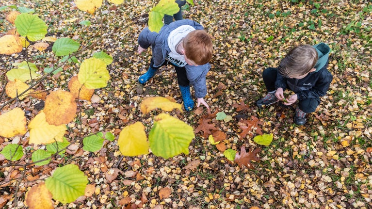 Autumn at The Firs
